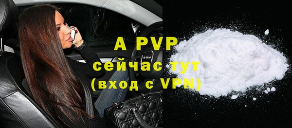стаф Верея