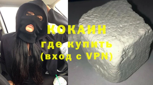 стаф Верея