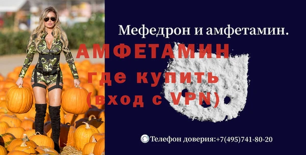 стаф Верея