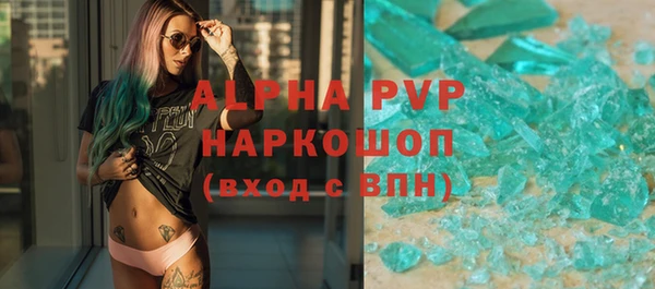 стаф Верея