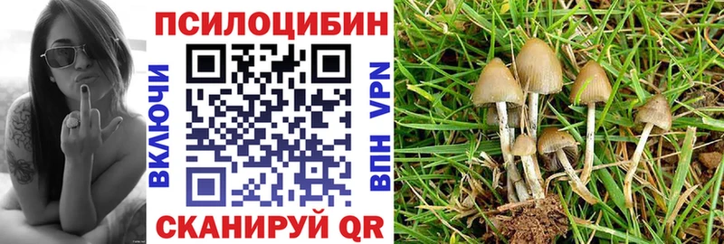 Галлюциногенные грибы мицелий  Гатчина 